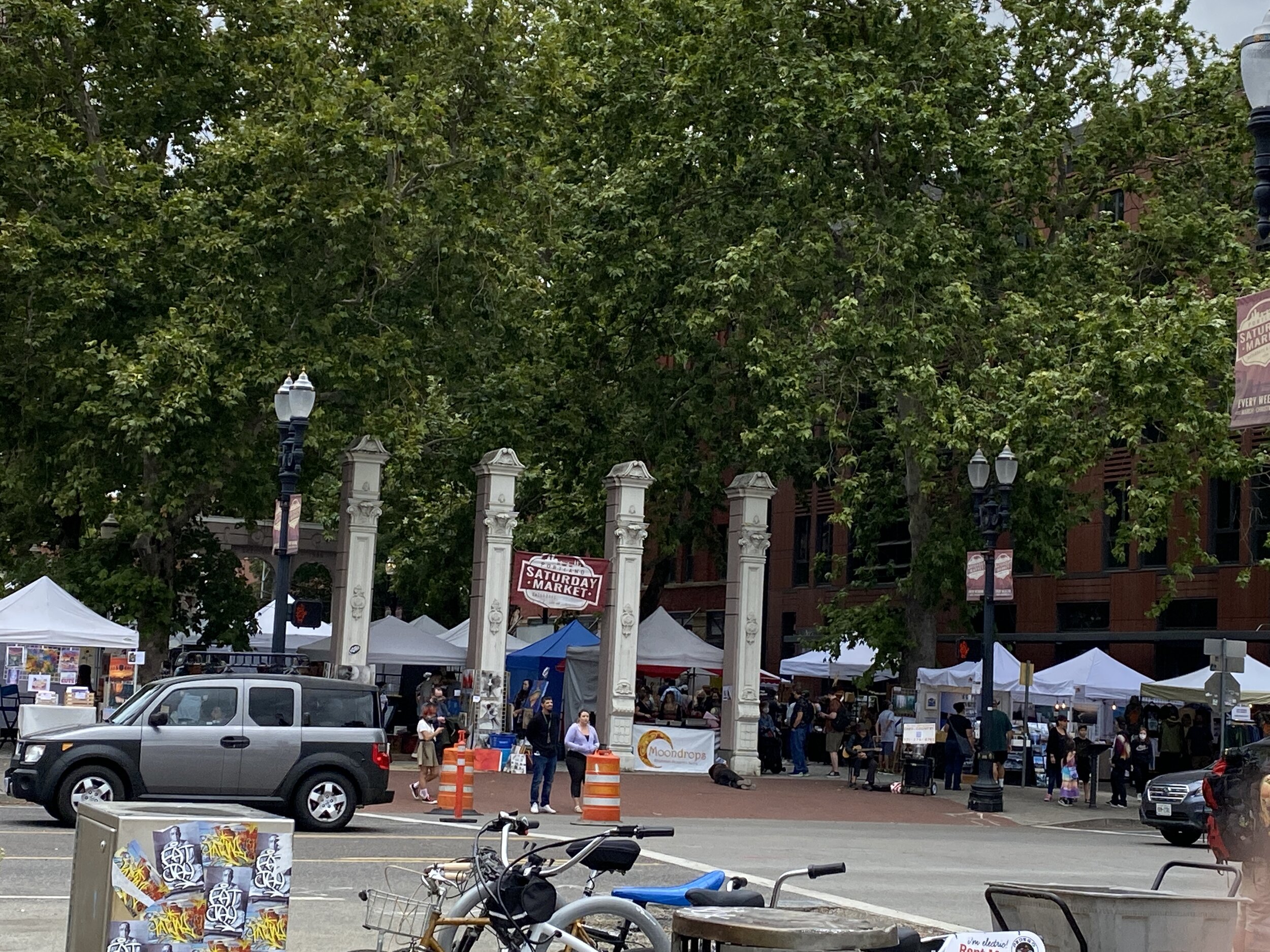 IMG_7503.jpeg