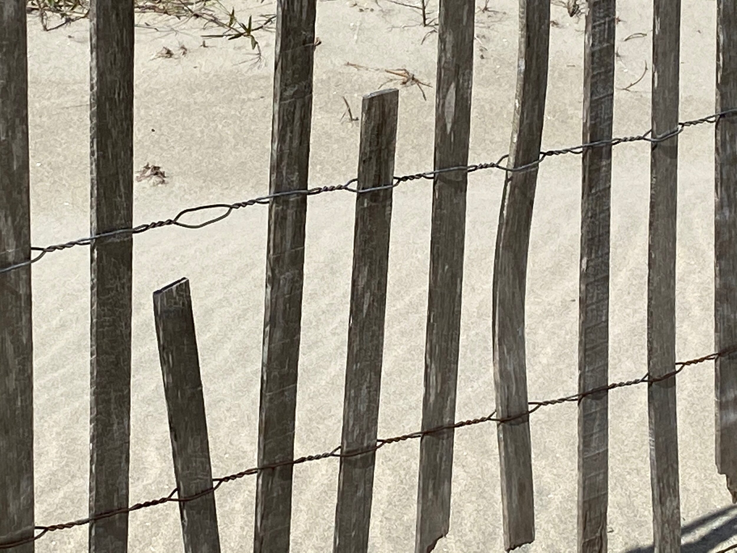 IMG_0216.jpeg