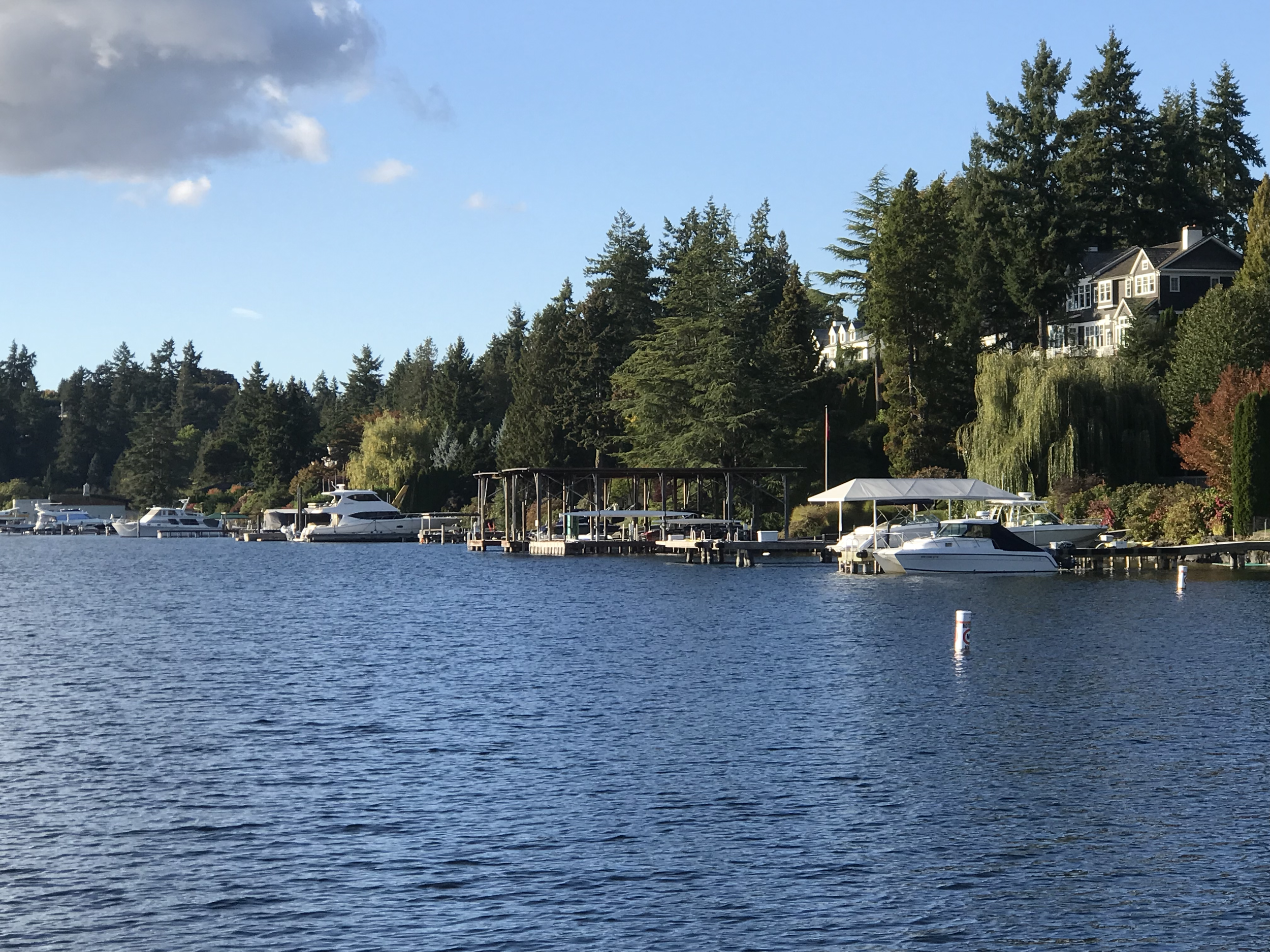 It makes you want to build a house right on the lake!