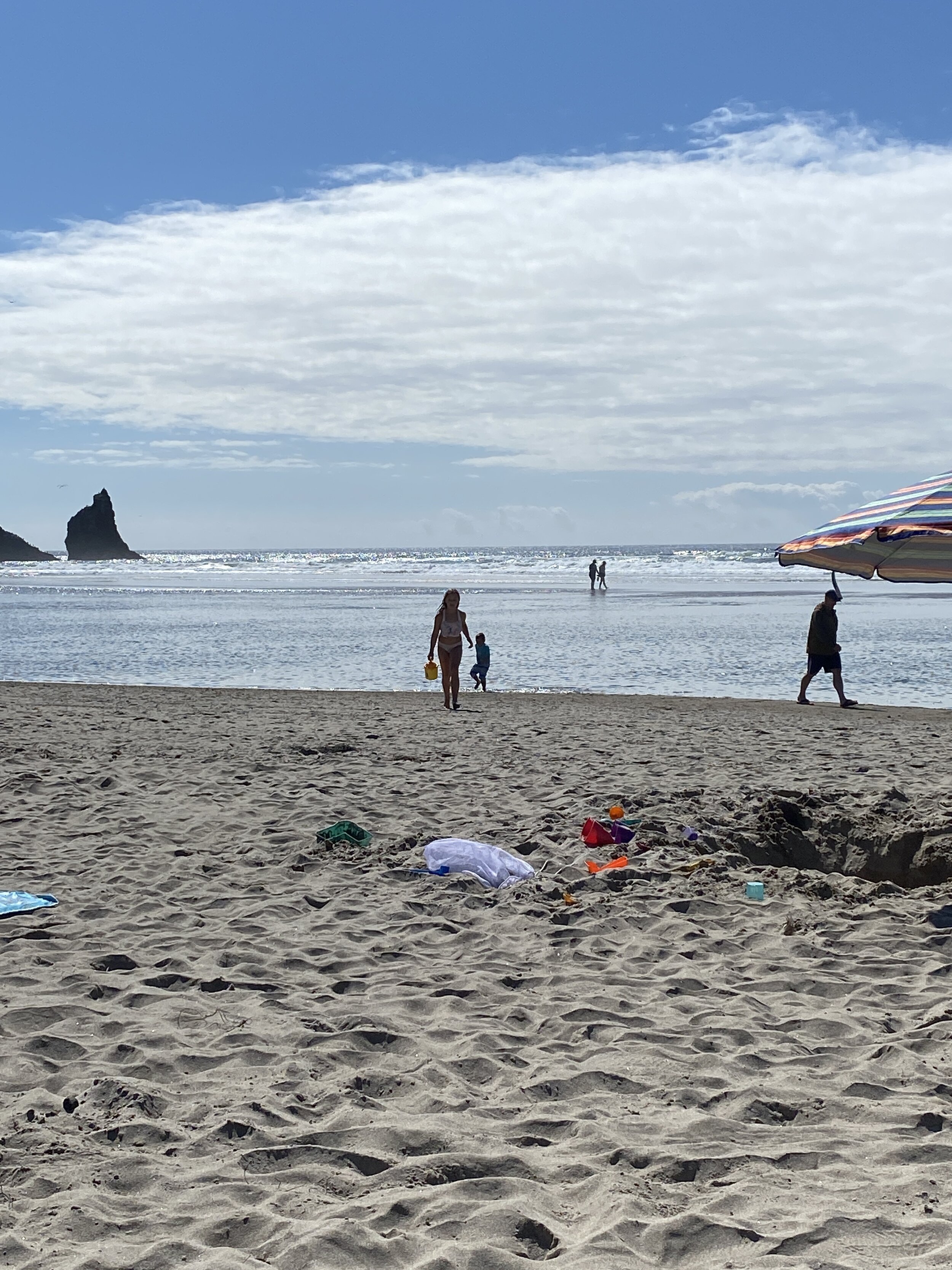 IMG_8317.jpeg