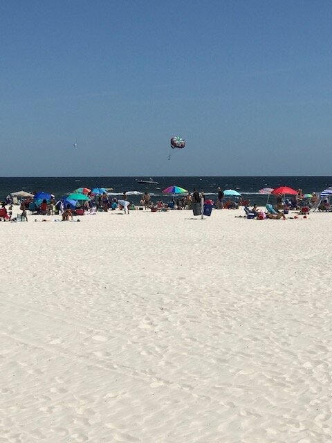 IMG_0876.jpg
