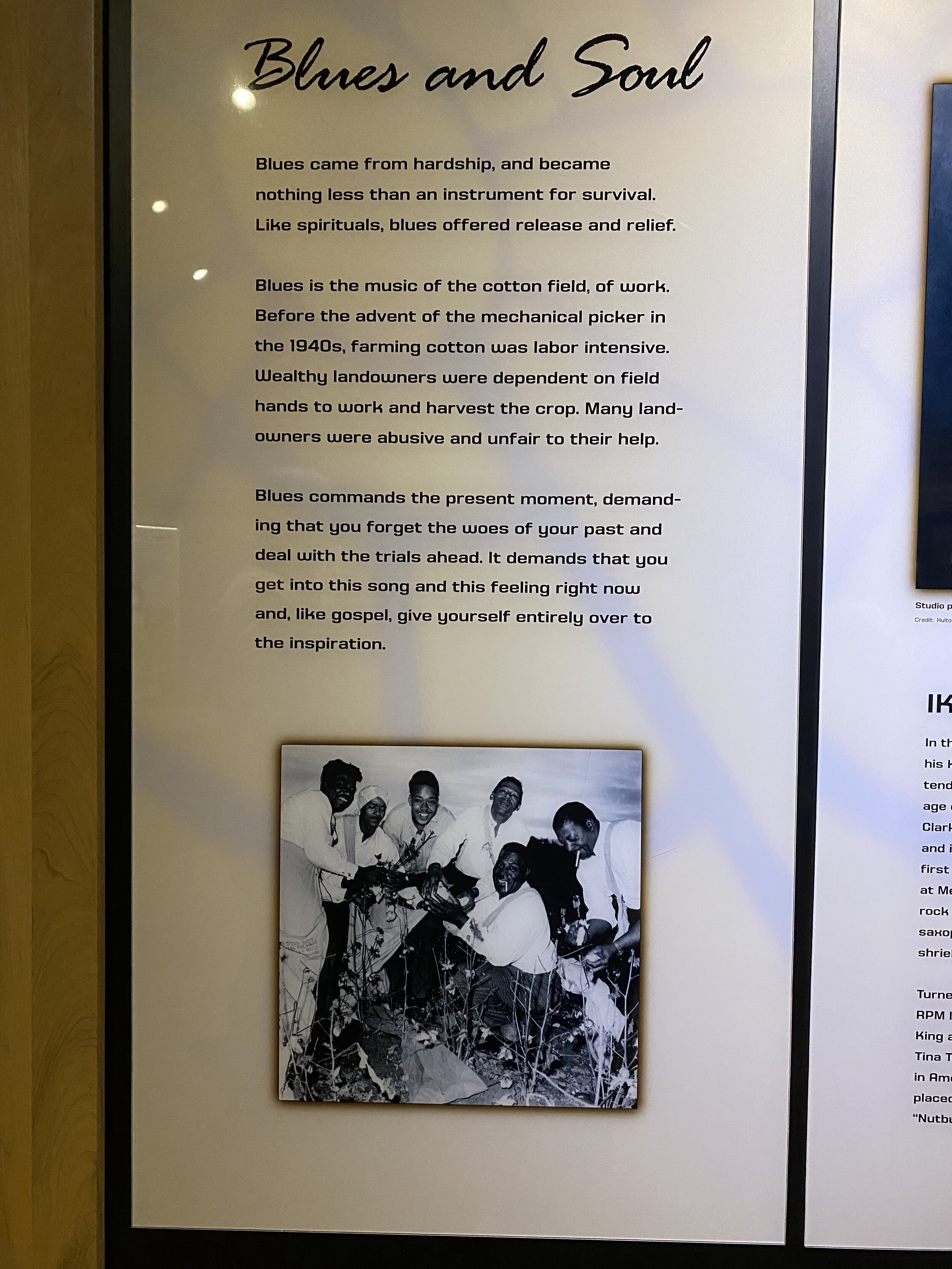IMG_5331 2.jpeg