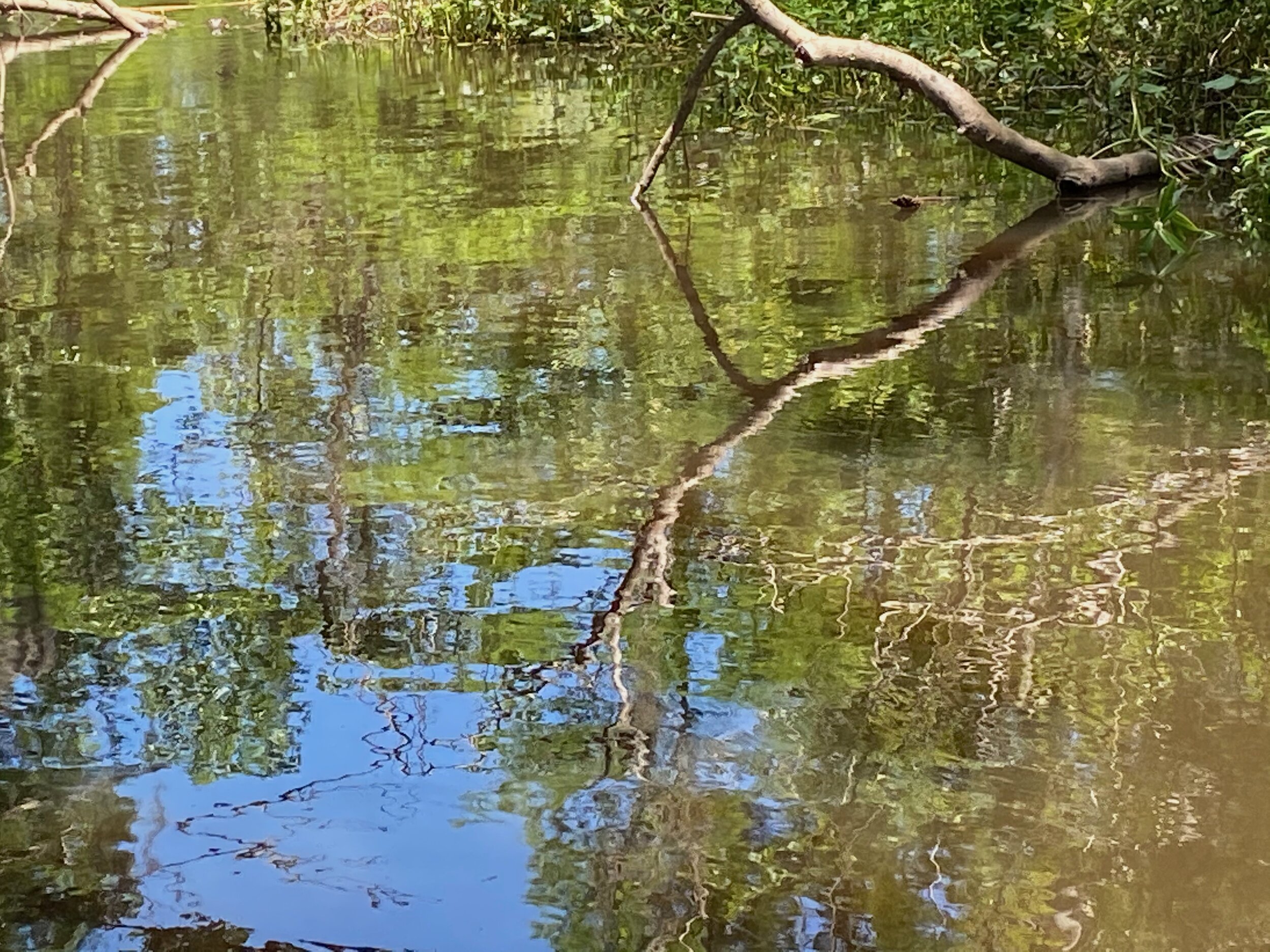 IMG_3208.jpeg