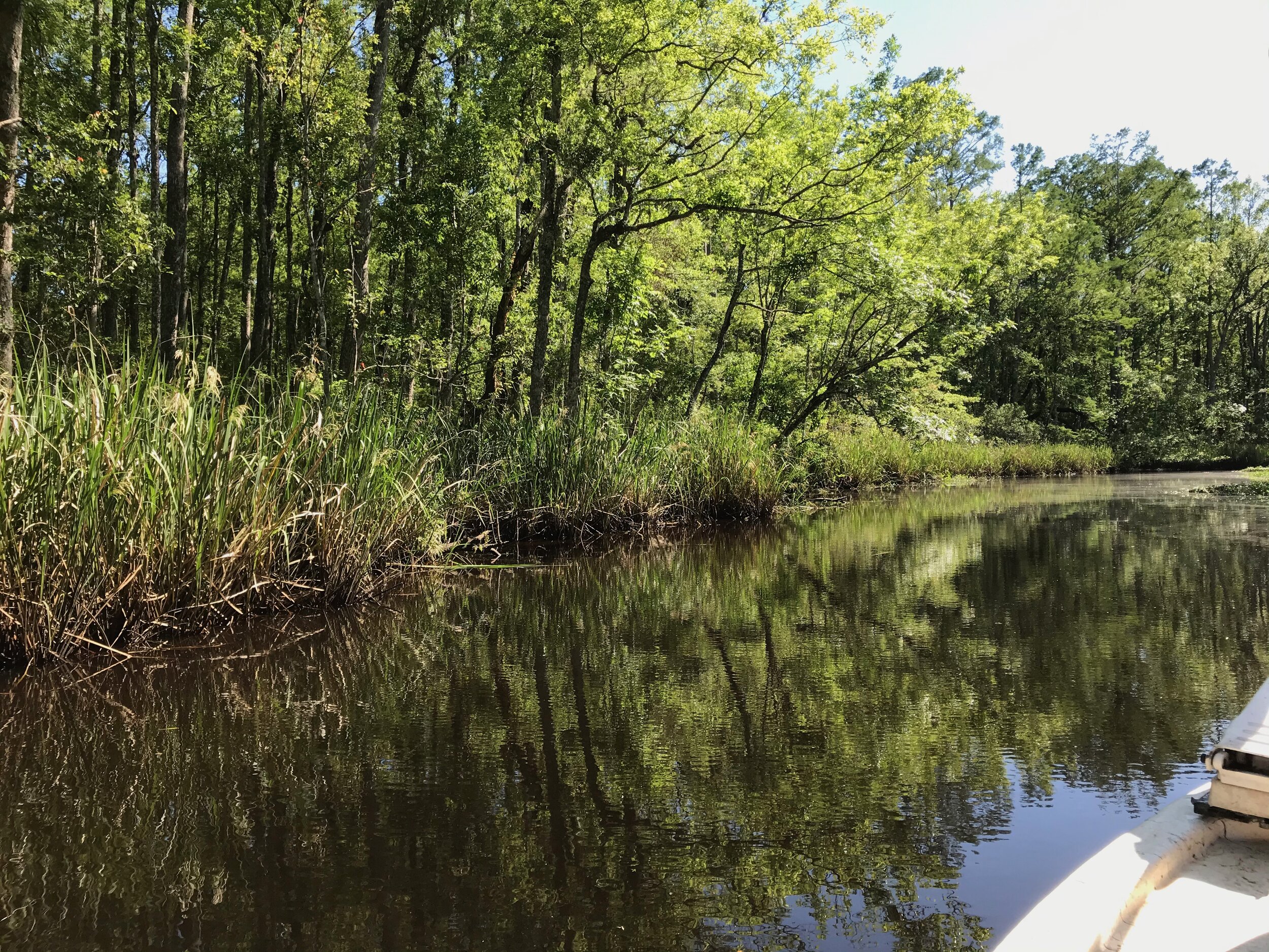 IMG_0616.jpeg