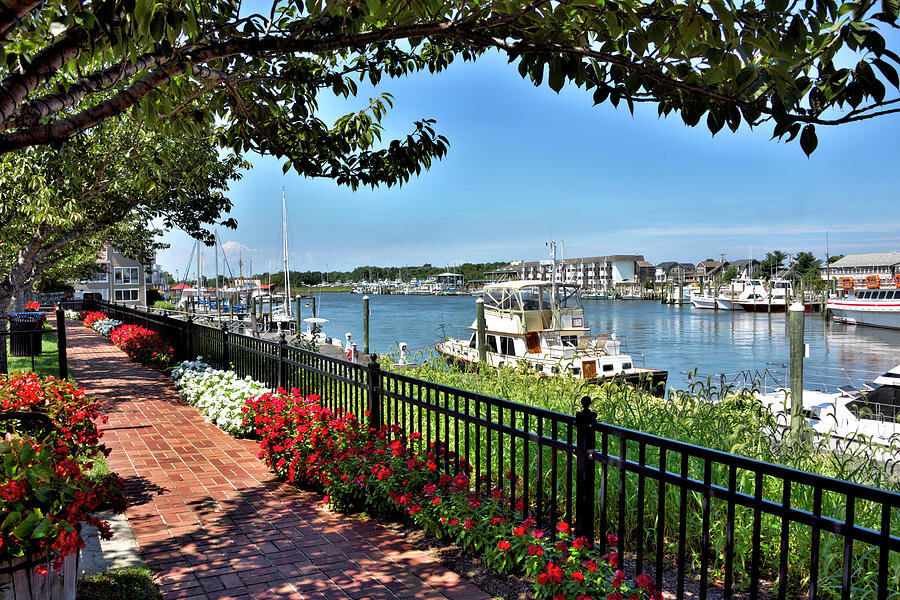 1812-memorial-park-lewes-delaware-brendan-reals.jpg