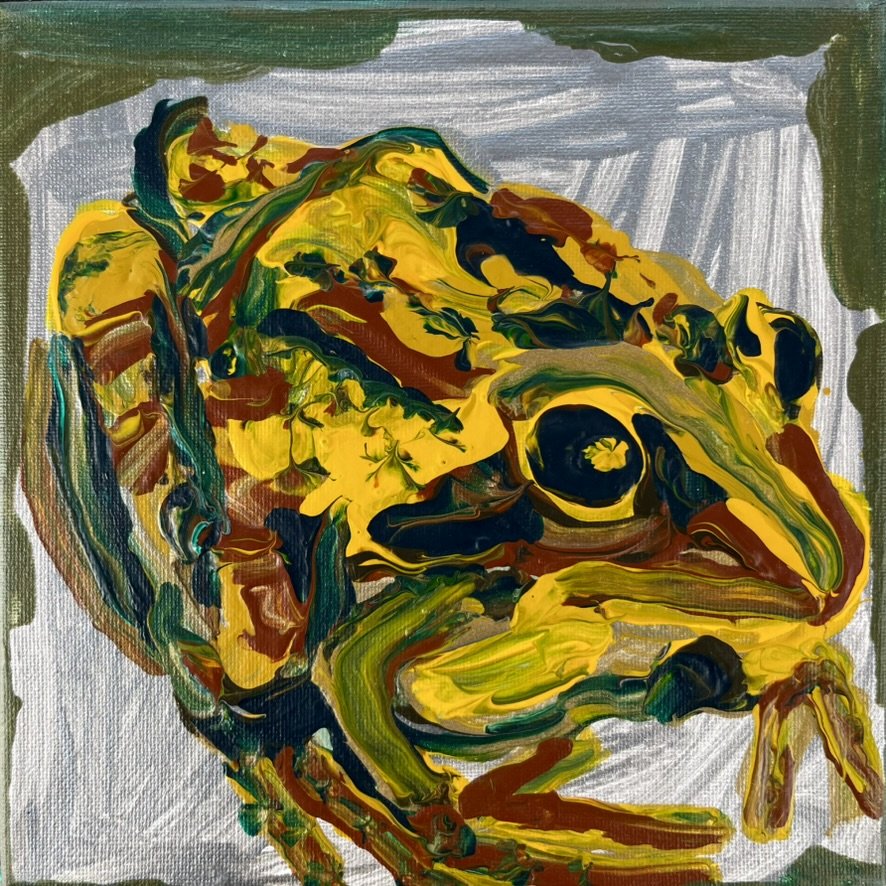 #73 Wood Frog