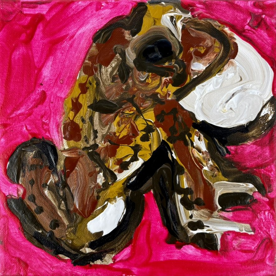 #274 Houston Toad