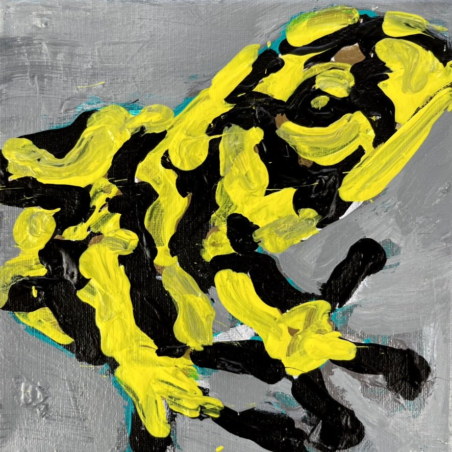 #92 Harlequin Poison Dart Frog