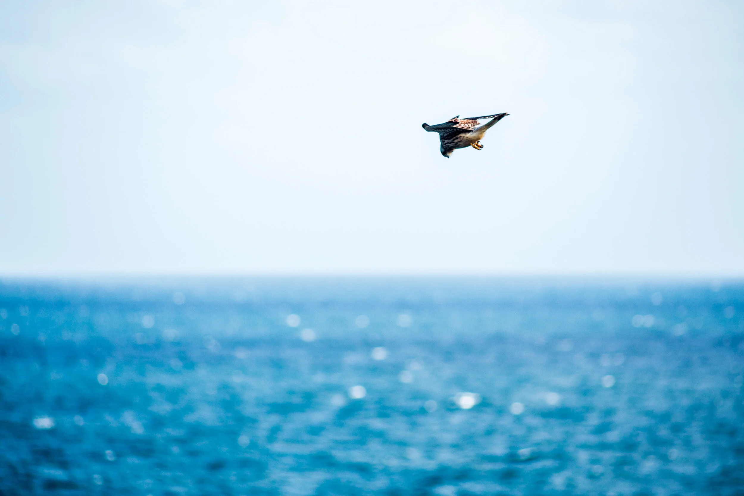 St Ives - Cornwall-3.jpg