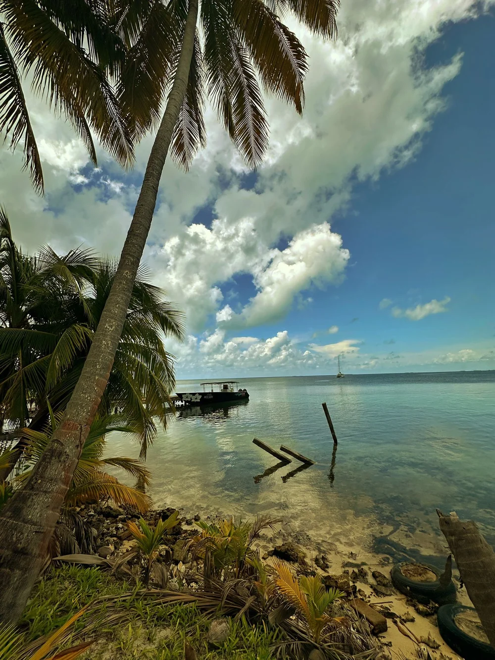 d1bf9950-2362-4cd1-9eb1-2451ed0e2f4f.JPG
