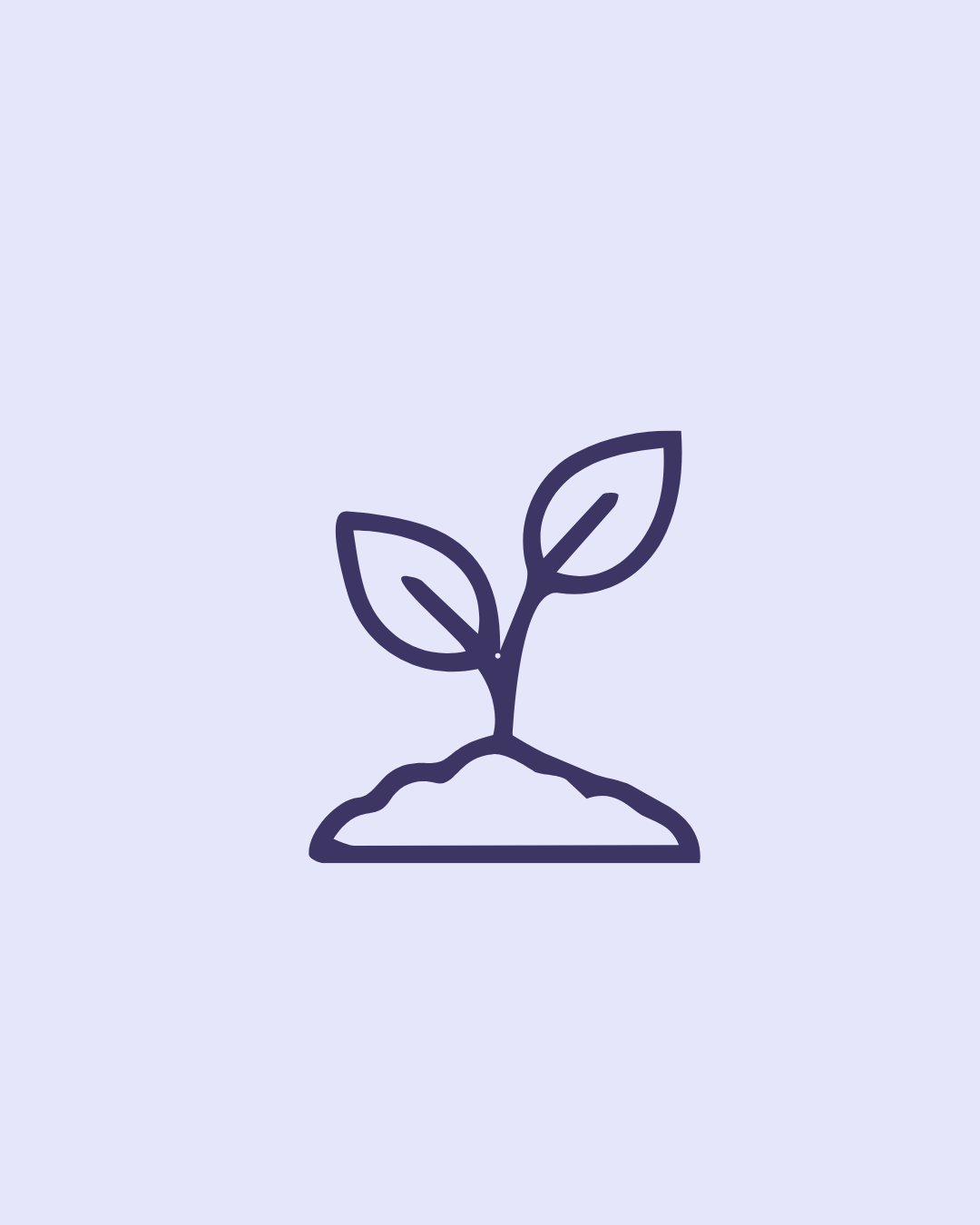 Line drawing of a small plant with two leaves growing from the ground.