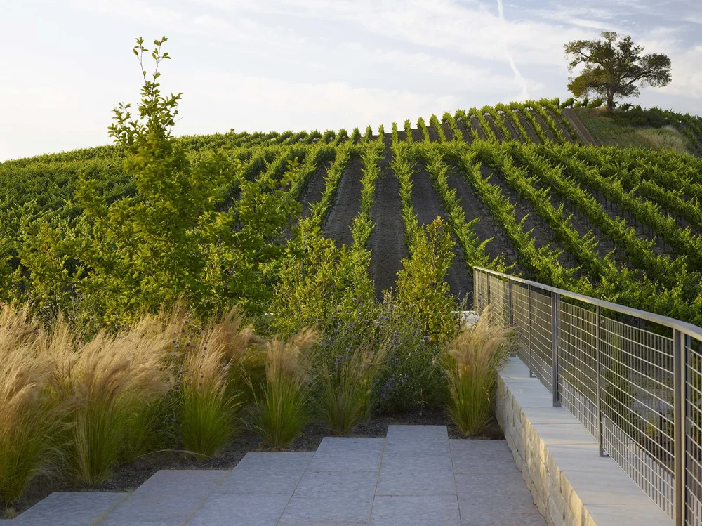 Kistler Vineyards — Surfacedesign, Inc.