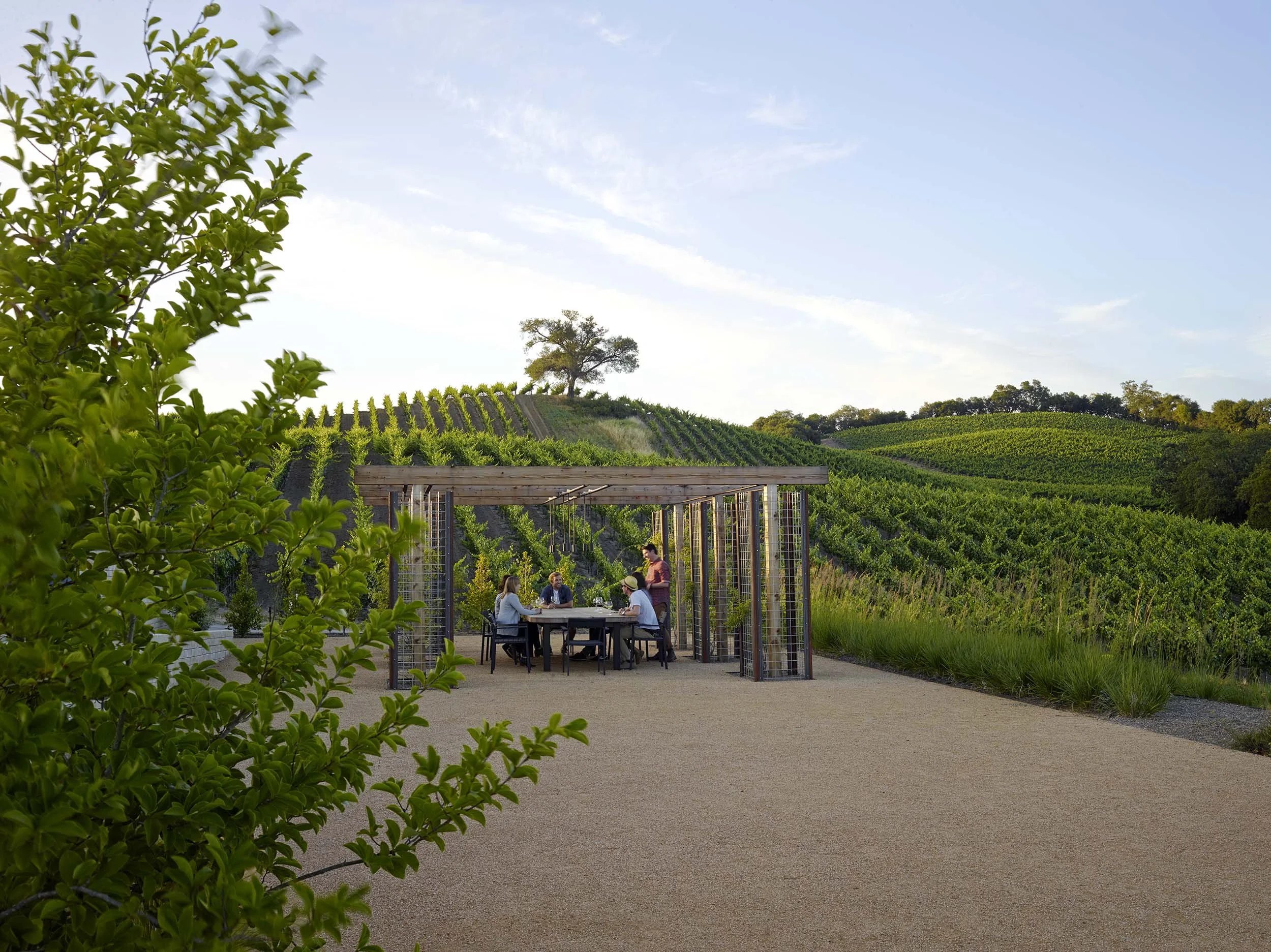 Kistler Vineyards — Surfacedesign, Inc.
