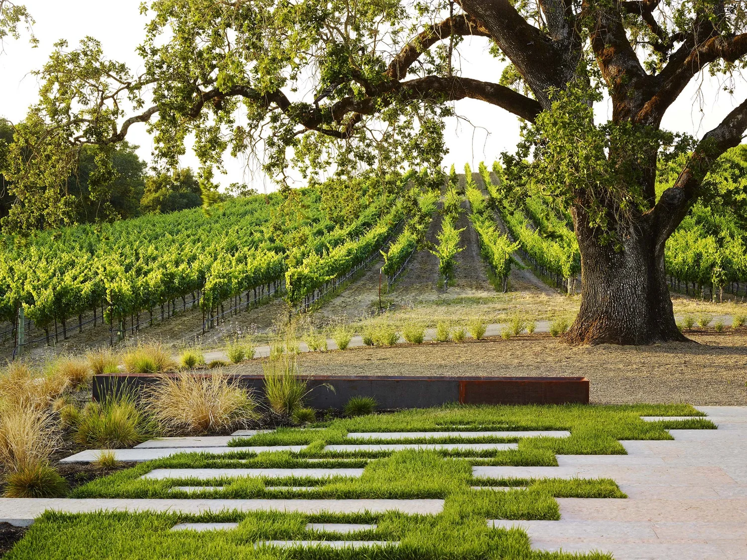 Kistler Vineyards — Surfacedesign, Inc.