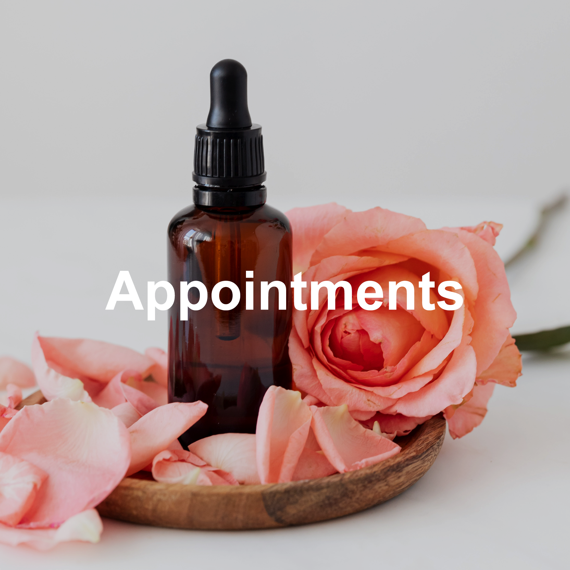 Book an Appointment