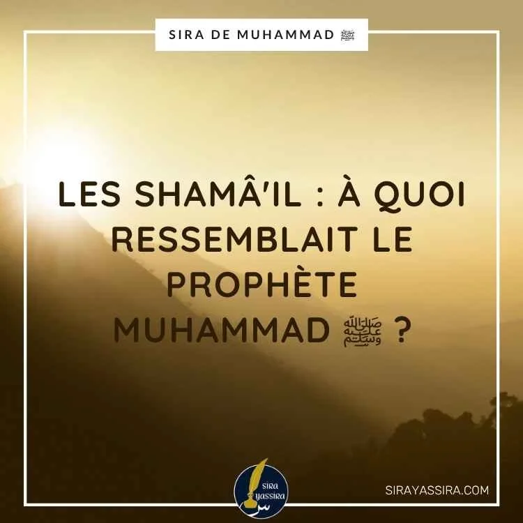Les Shamâ'il : à quoi ressemblait le Prophète Muhammad ﷺ ?