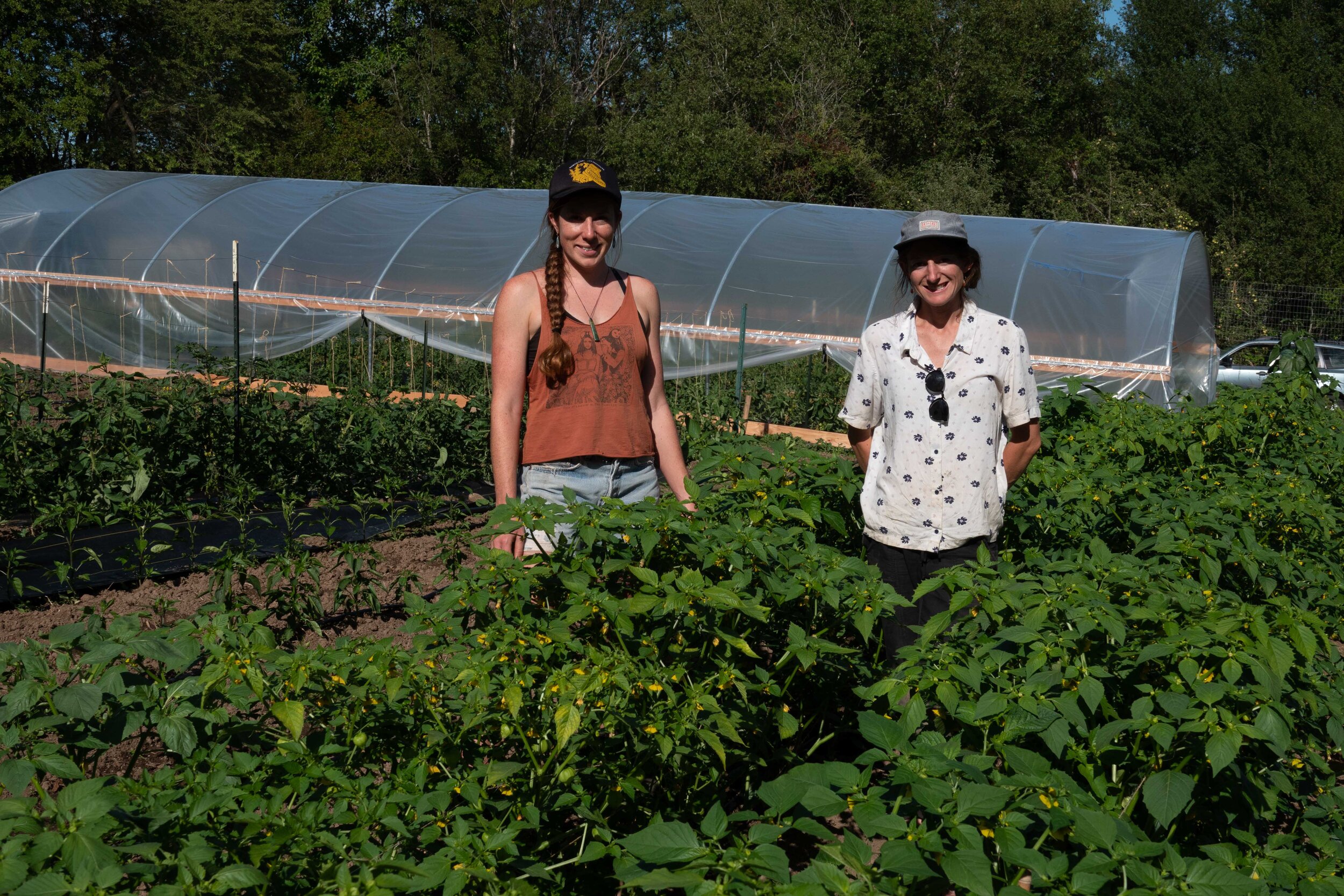 Get Involved - Community Farm Land Trust