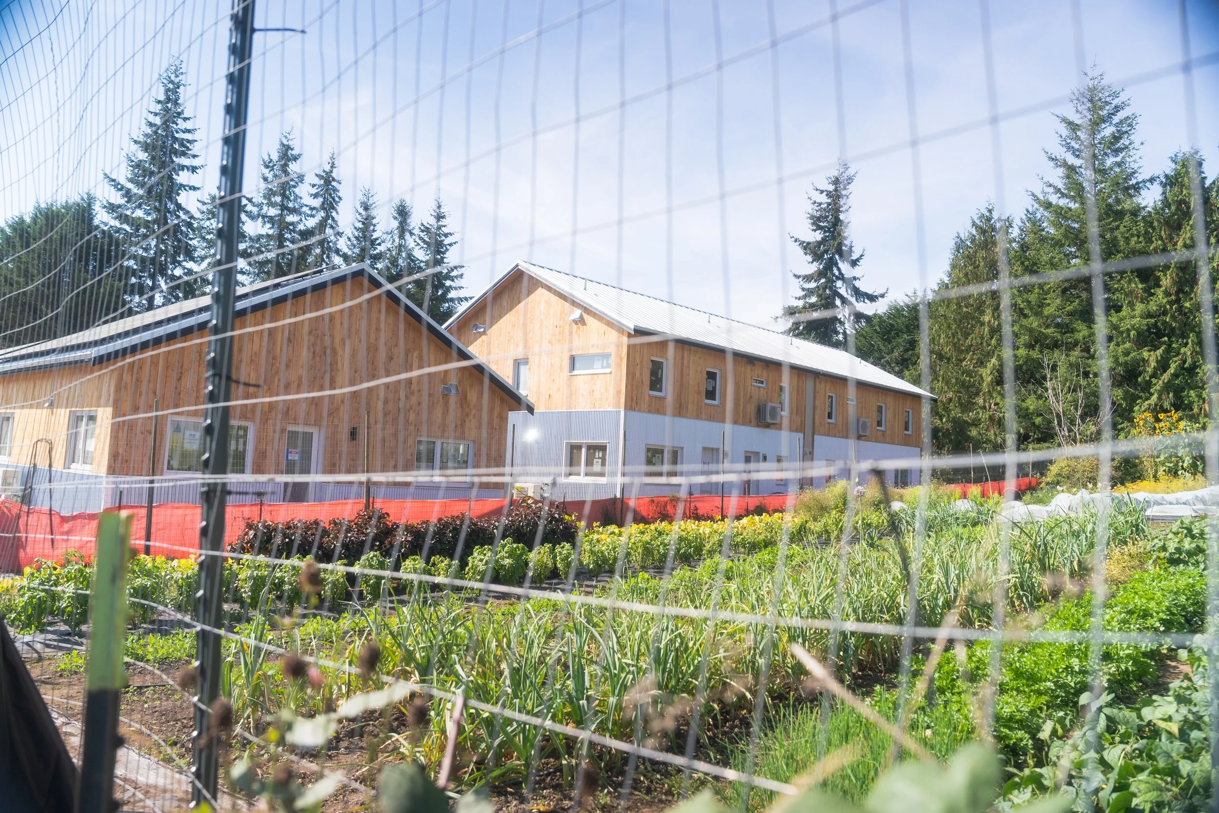 View of LaFreniere Court through a City Sprouts community farm fence.