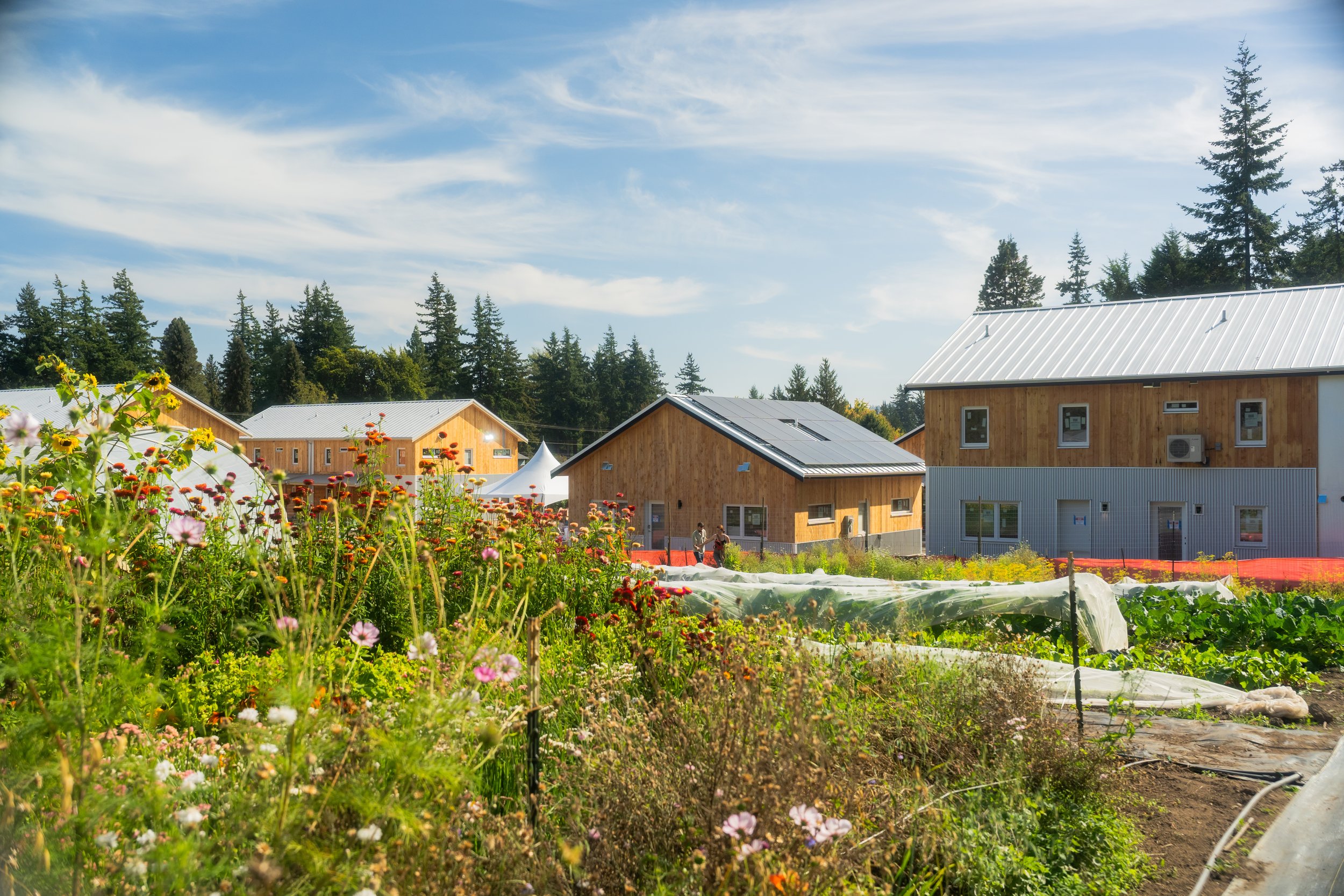 View of LaFreniere Court from City Sprouts community farm.