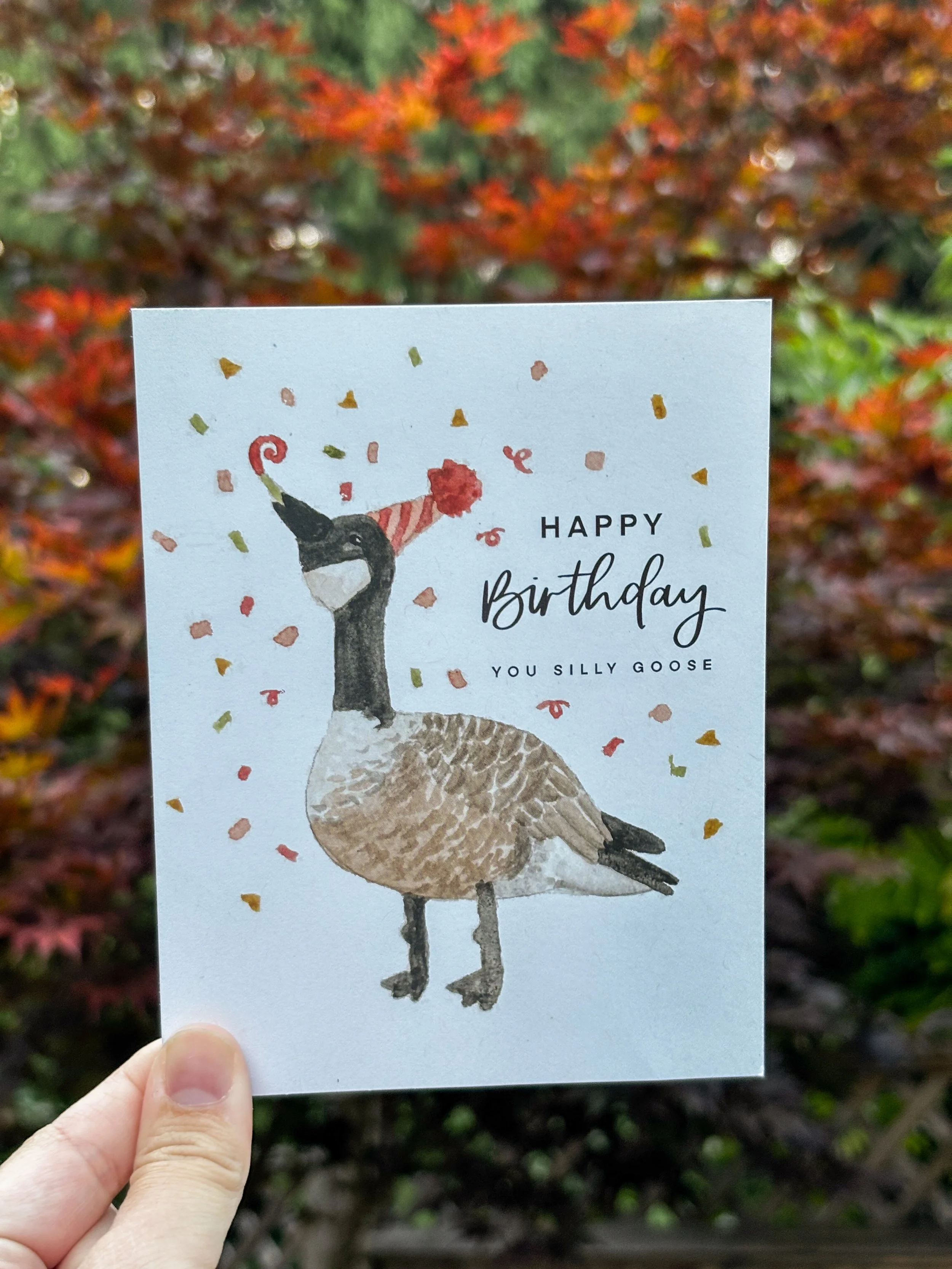 Birthday Silly Goose