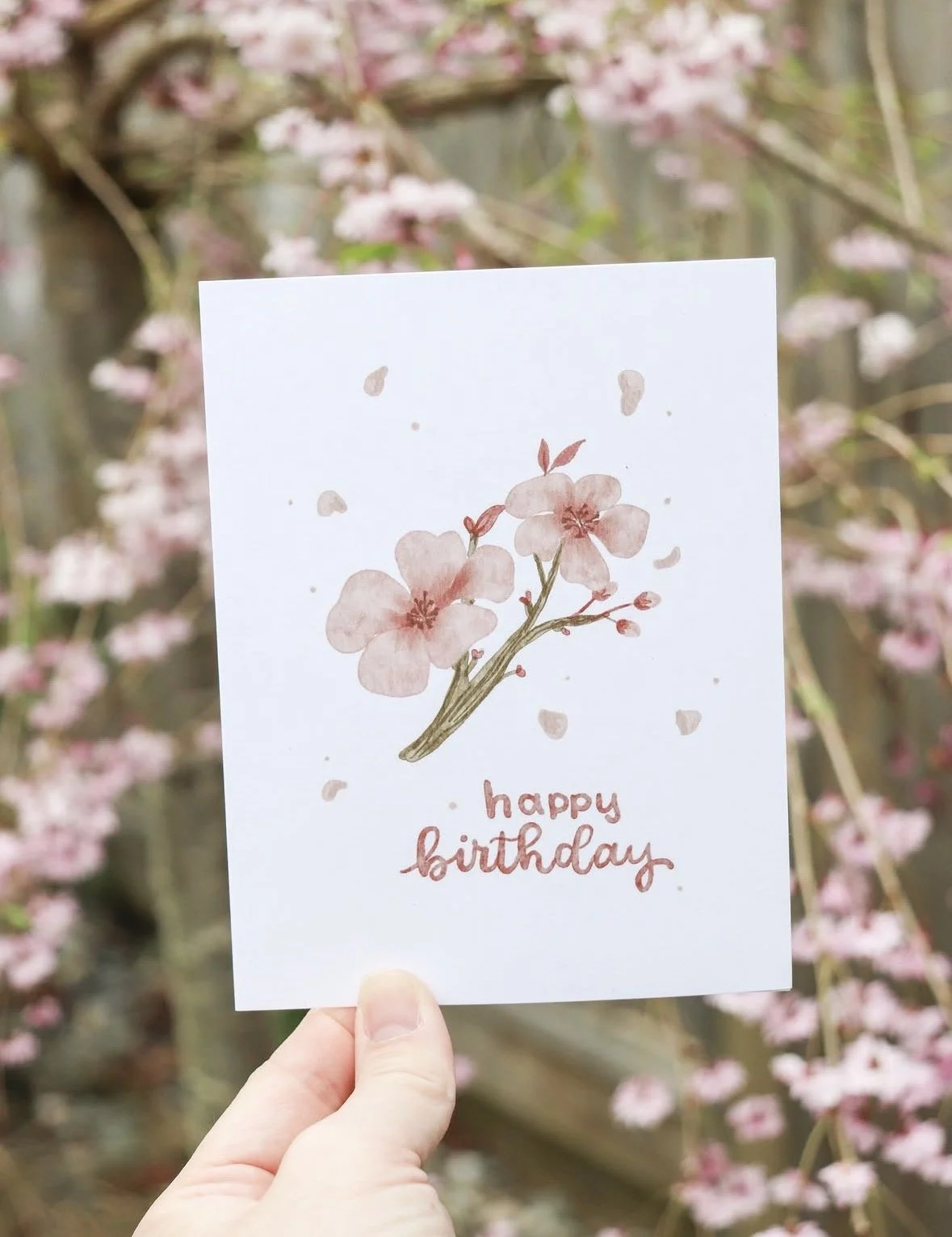 Birthday Cherry Blossom