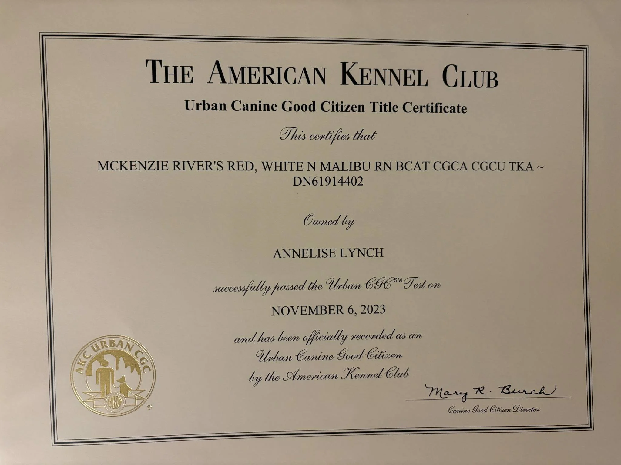 c19613c7-3d2e-4176-abb5-c5208845c71e.jfif