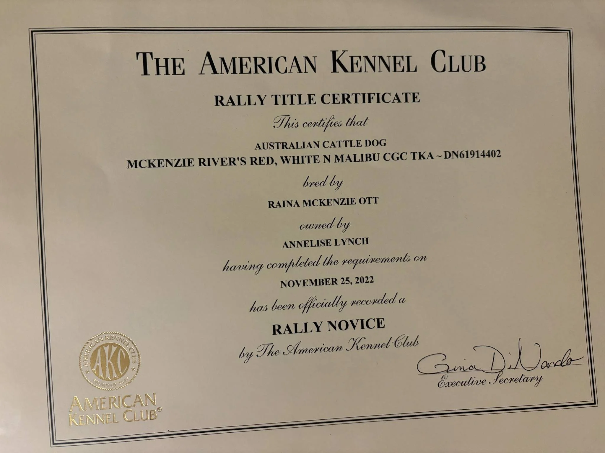 fd7cdde4-61e0-4011-a2bf-f8d40fd16422.jfif