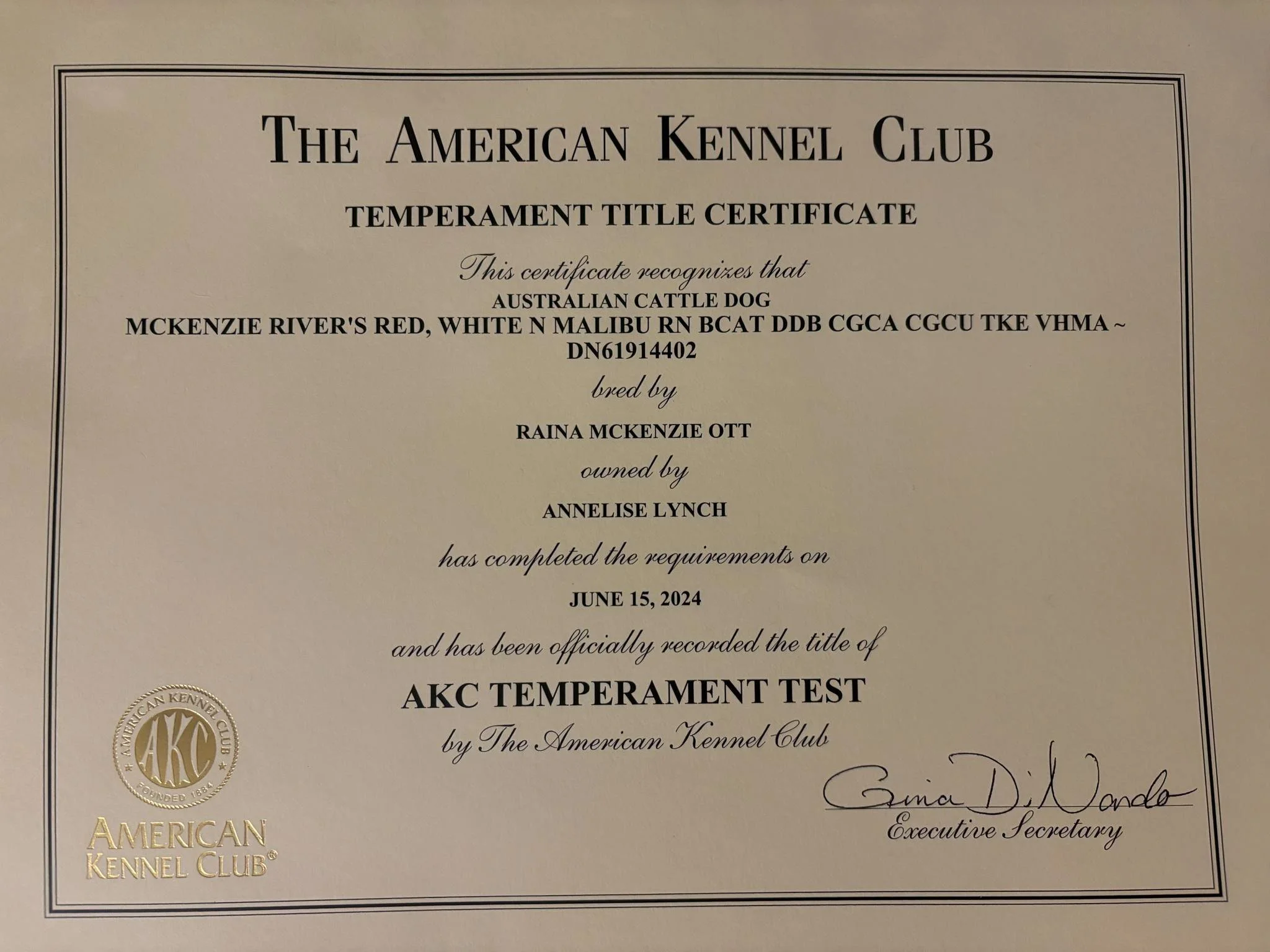 32e9af35-ea91-4208-b625-5d4d2d56f7d0.jfif