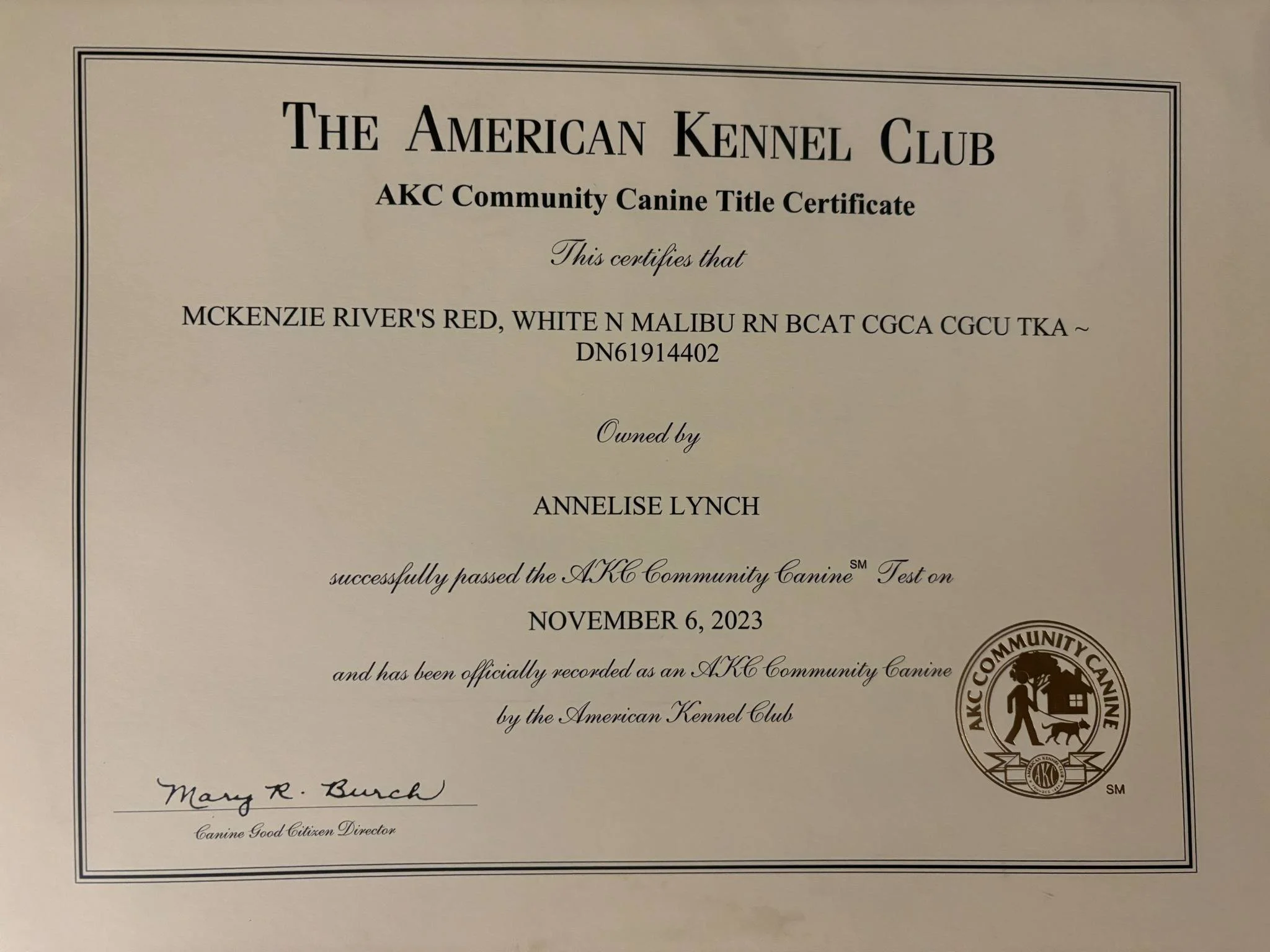 5113d6b9-dee6-4476-9a76-1f8d04998500.jfif