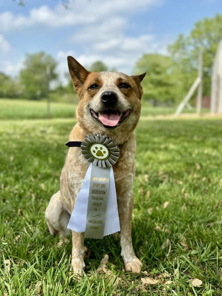 c0e4aa28-291f-4319-8fce-9e7865175dcd.jfif