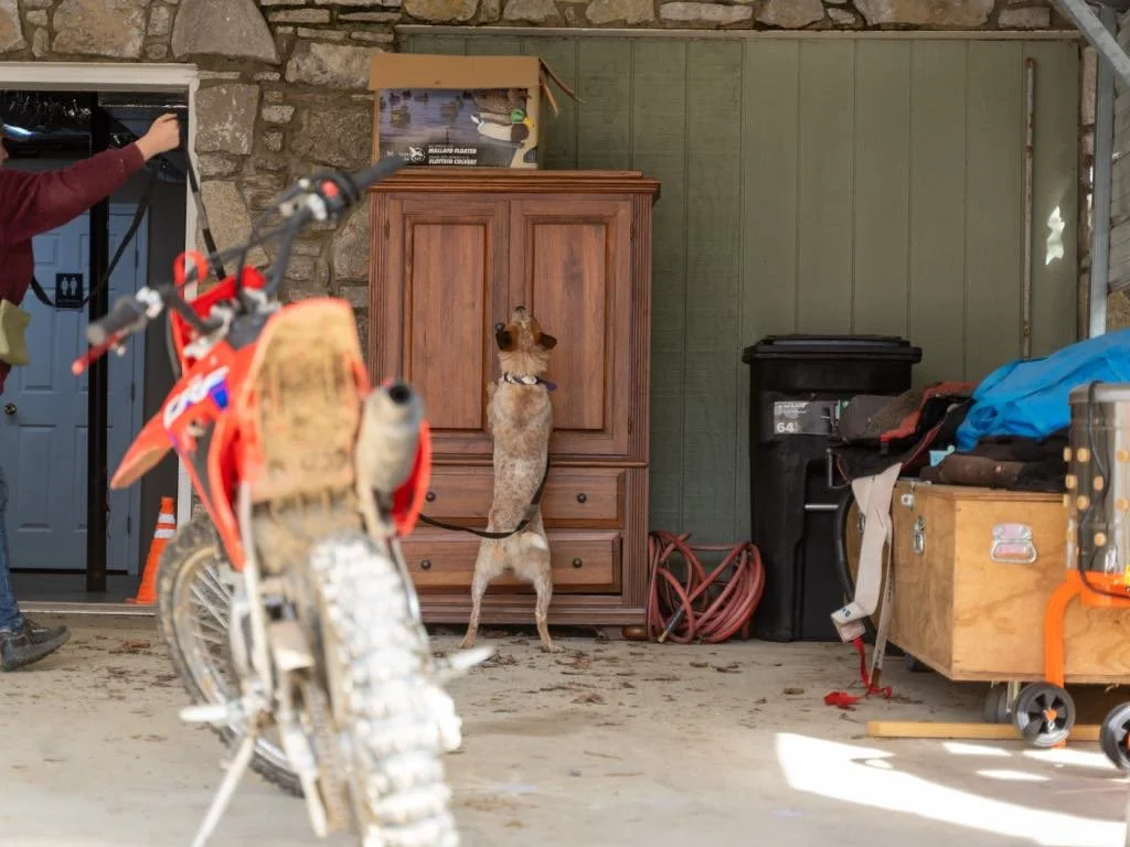 8f496c97-aac1-4fc9-b544-049aad3c67ac.jfif