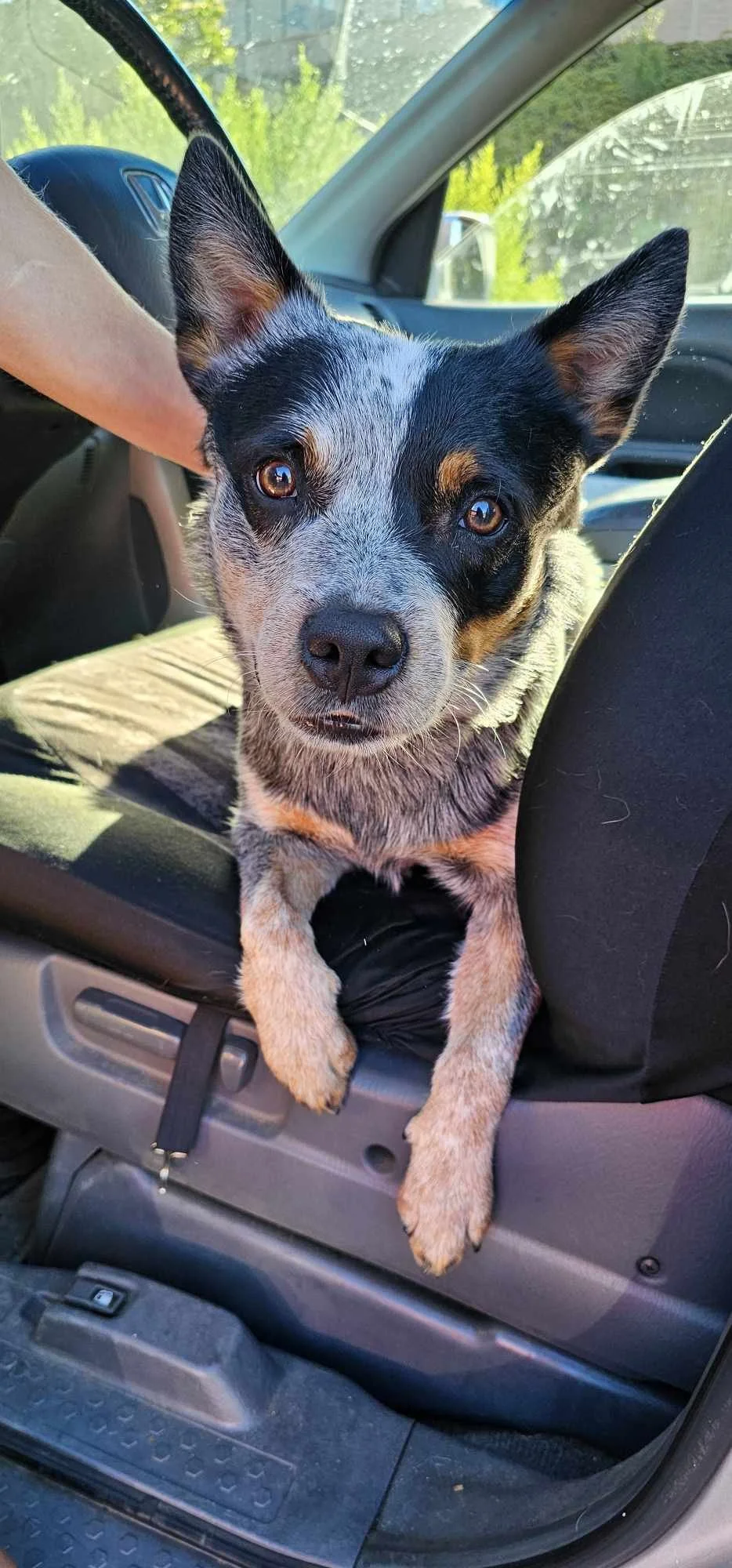 ff3f36ad-9b50-4be6-9aa3-4987eb83c4cf.jfif