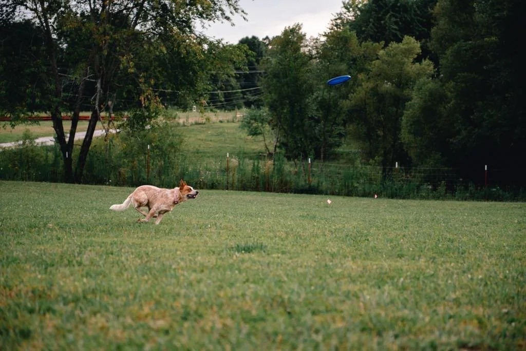 b22f4165-388d-4852-9cbb-ca53cd715ae8.jfif