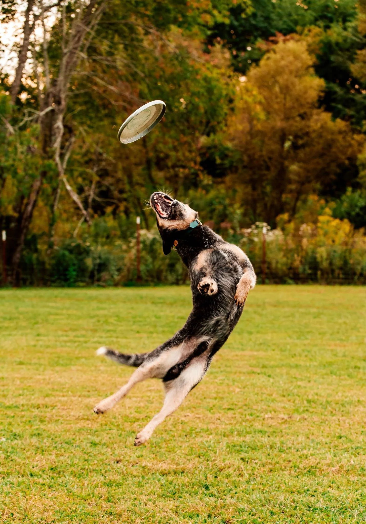 997136cb-ba52-4c75-a0d4-76ccbfa92cfe.jfif