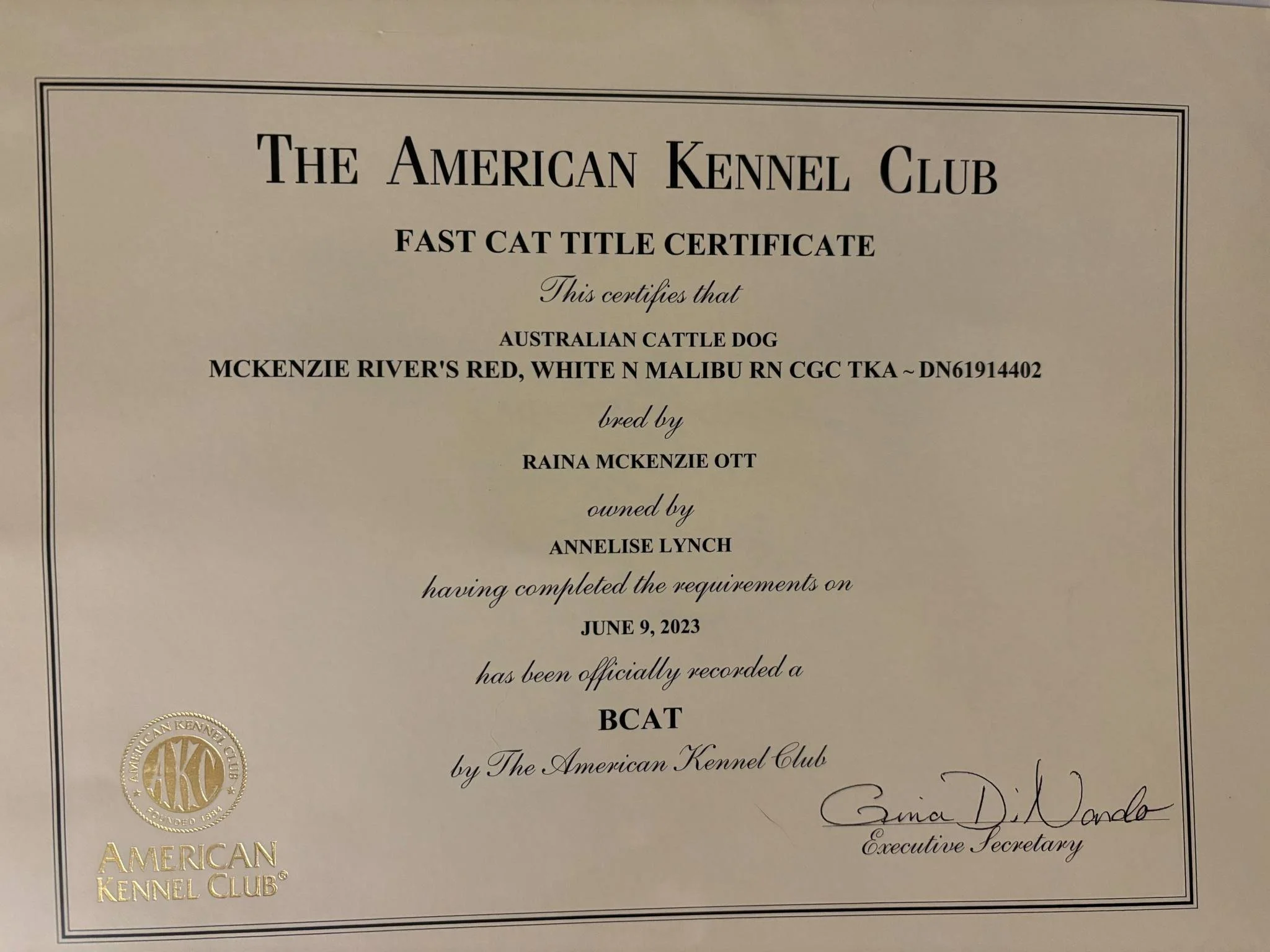 fd9e464a-3476-4d82-ad49-8564ae56e84e.jfif