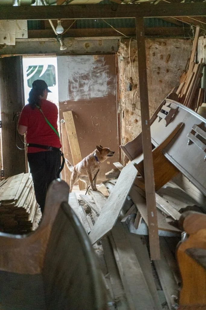 ba594112-0a4d-43ae-9c8b-2f2bd276c2fa.jfif