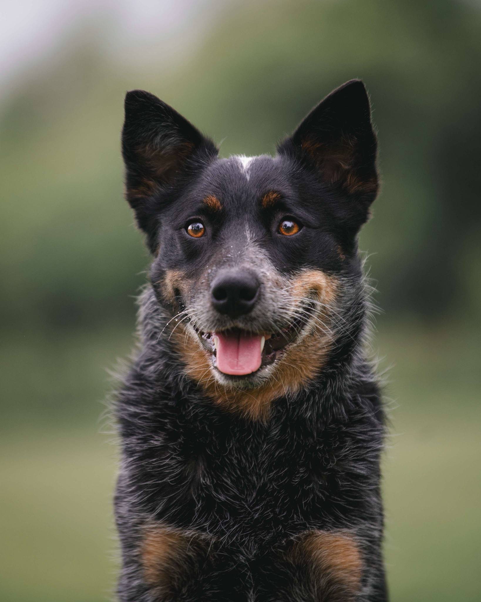 5782f319-8739-42b9-b50a-843ae56cfb08.jfif