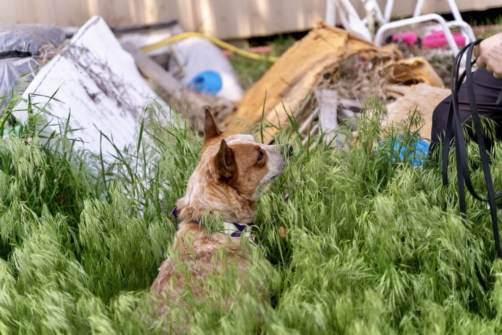 ad1bf6eb-71d0-4e48-87f5-52e2ad3dd98b.jfif