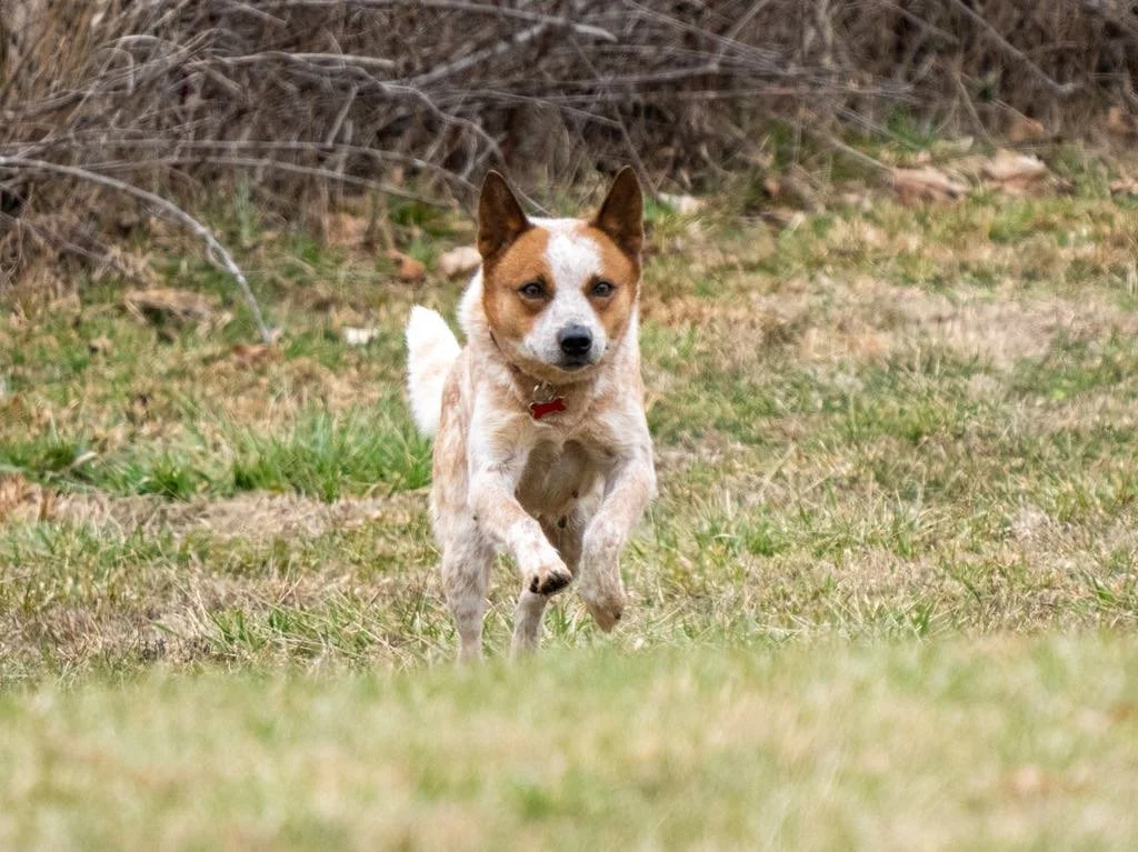 473c651b-06a9-4285-afc8-58b51a46f8c5.jfif