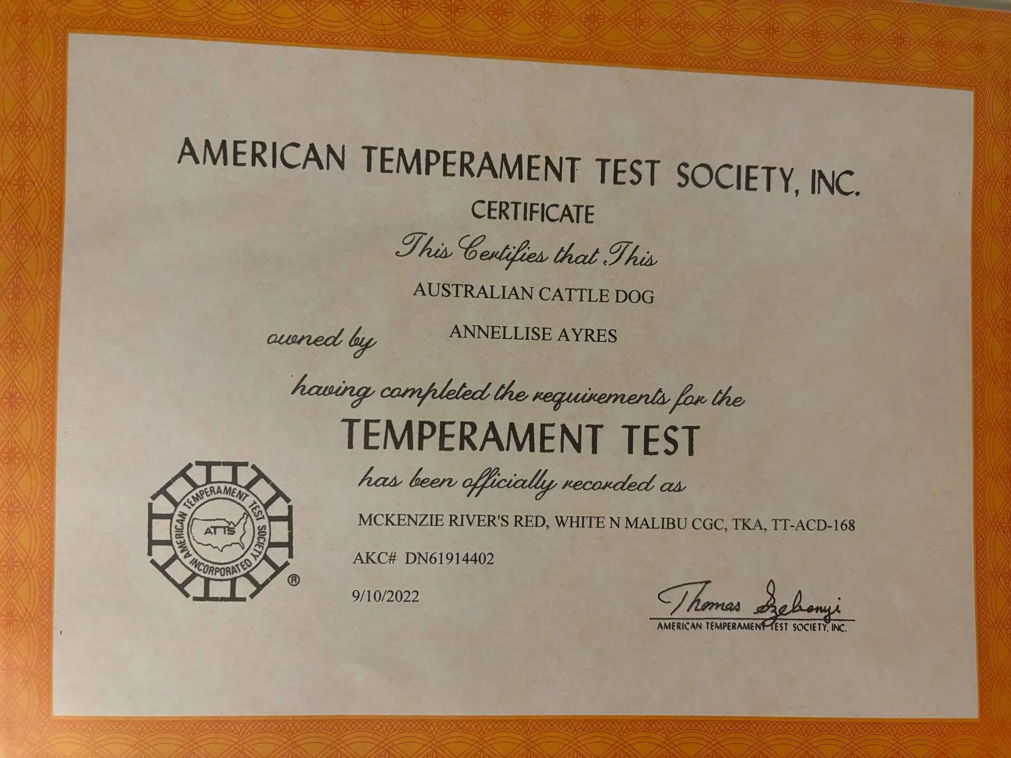 11cede8e-3228-4cd6-91b4-703120250b04.jfif