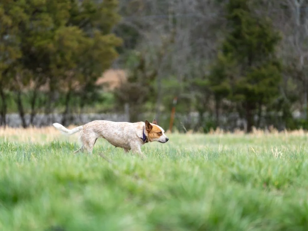 a82df509-605d-4ef3-8898-43a938439295.jfif