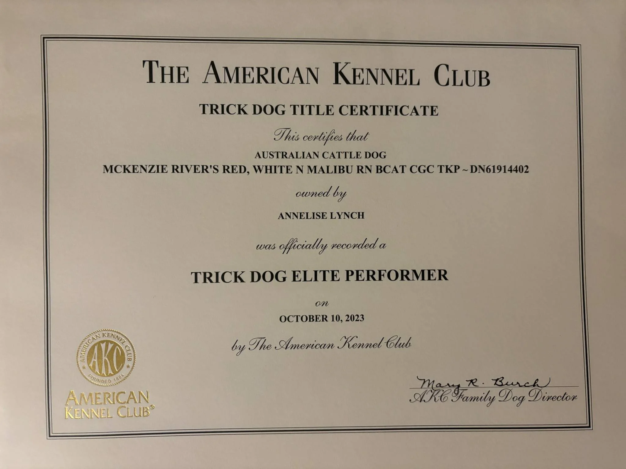 a8765a21-1c6a-462f-bdd7-da3f9feefba9.jfif