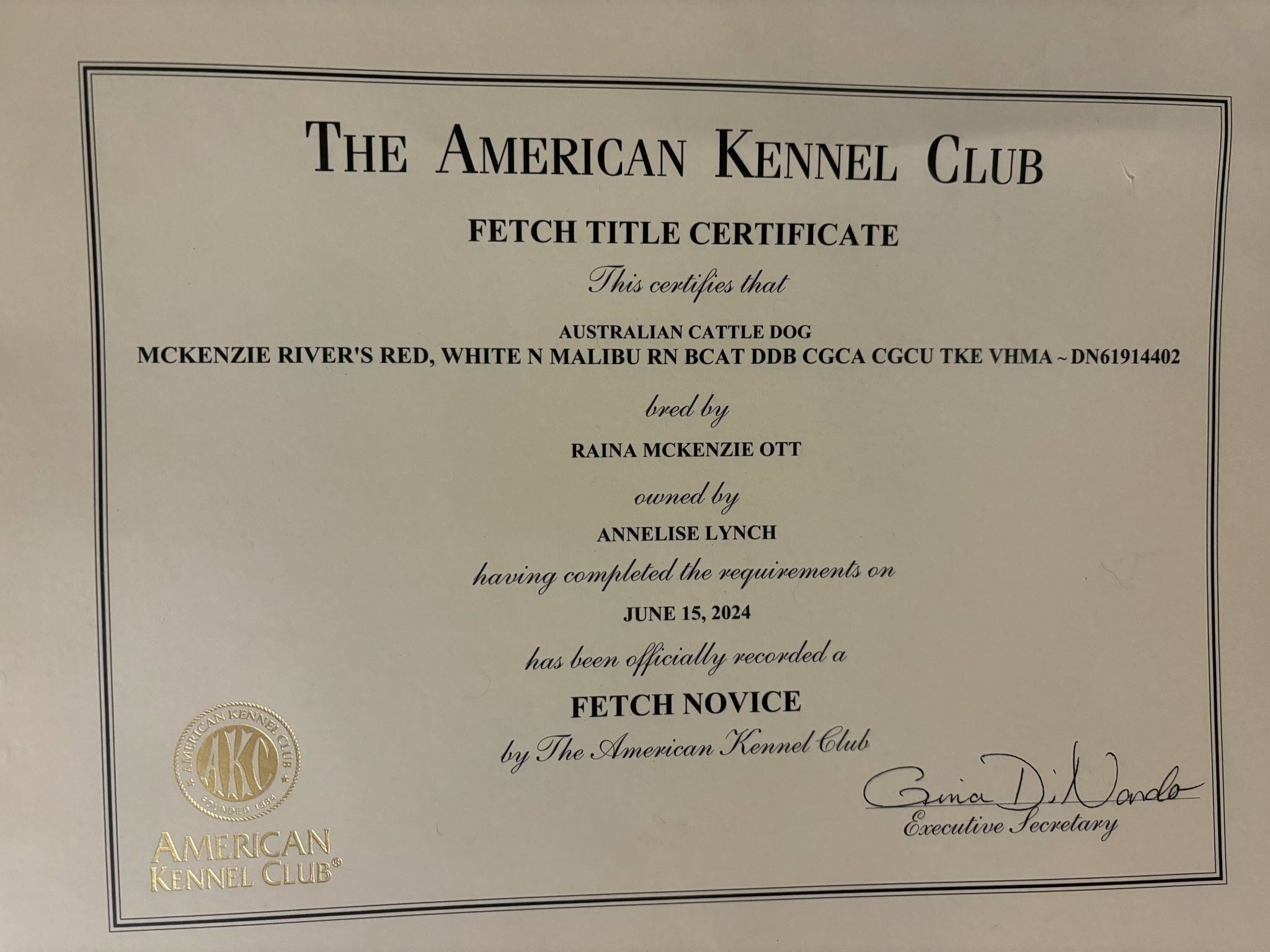 1017a11a-8778-4d81-995e-5e2566769ce5.jfif