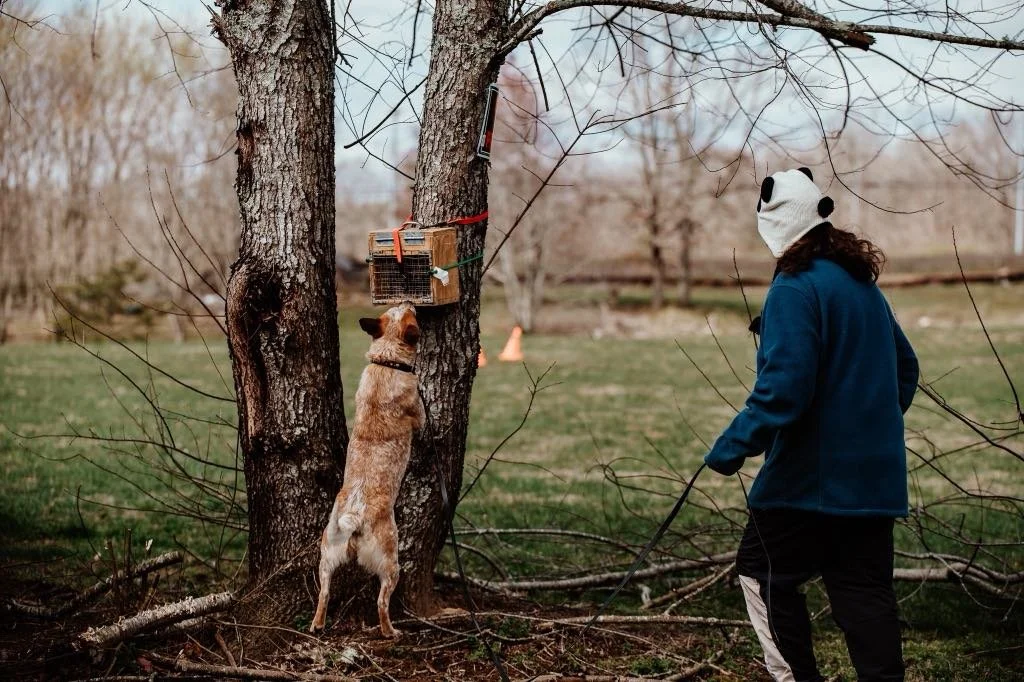 09abb0e5-7c24-4922-9ed6-c26cdbe28ae4.jfif