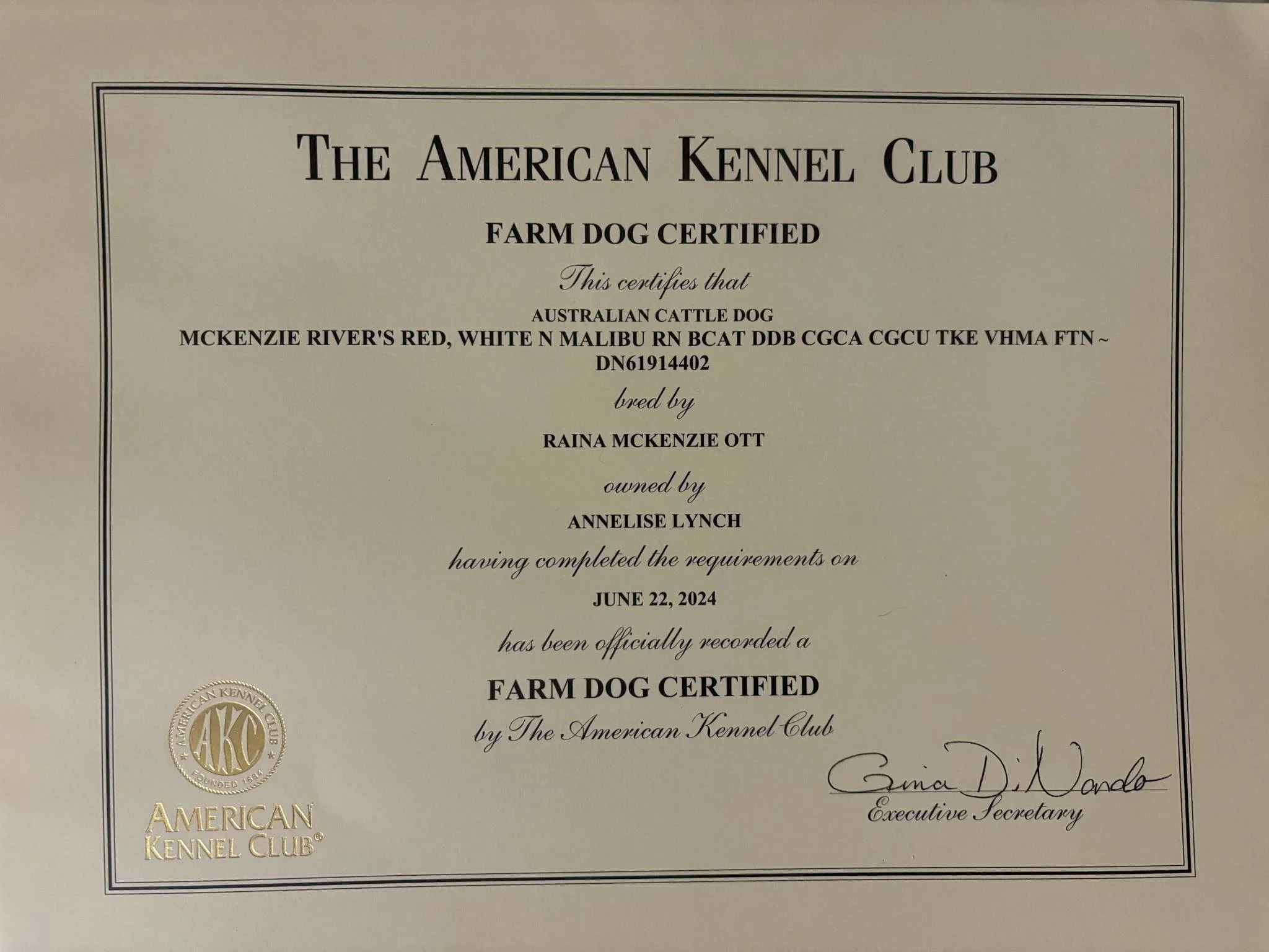 3c41db63-20ea-4d13-b8bc-9e2493f8af76.jfif