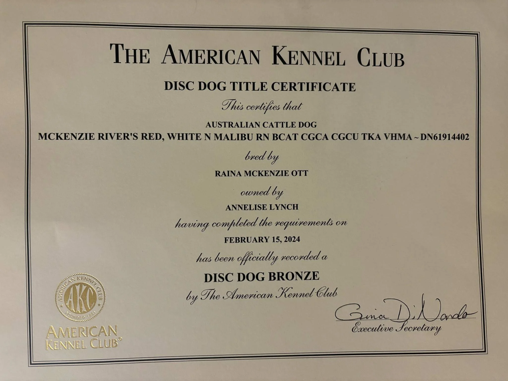 722c73da-6b63-4bf2-beac-018a707df0a5.jfif