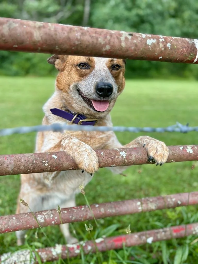 a672d314-3b2e-42cc-b791-8d66eed73895.jfif