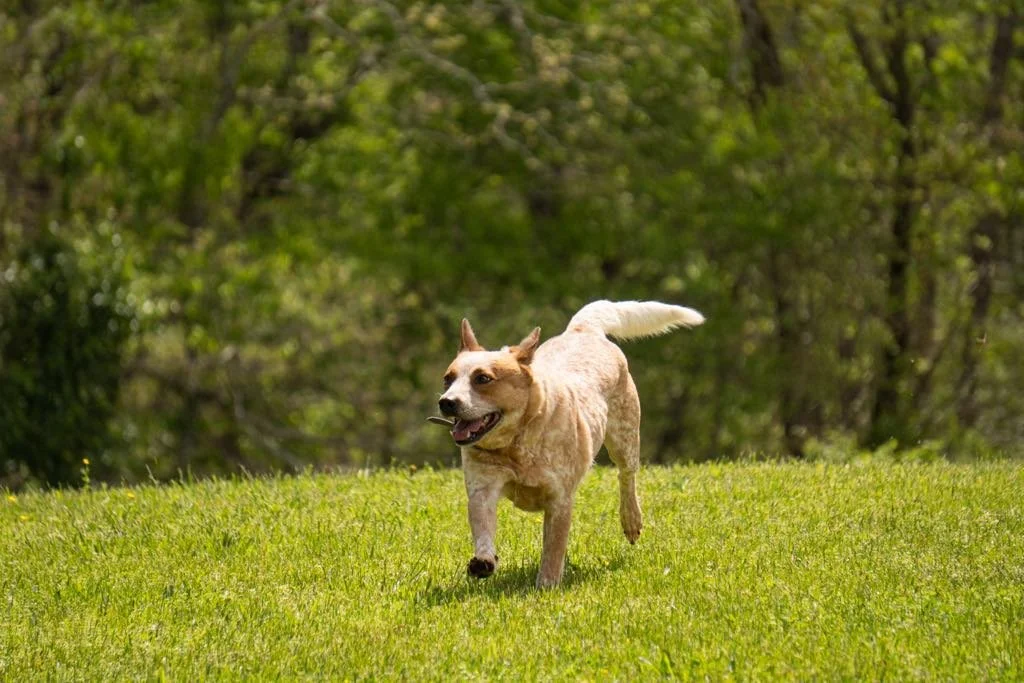 840d966f-6b79-4dc3-9653-8ce20af7eaf9.jfif