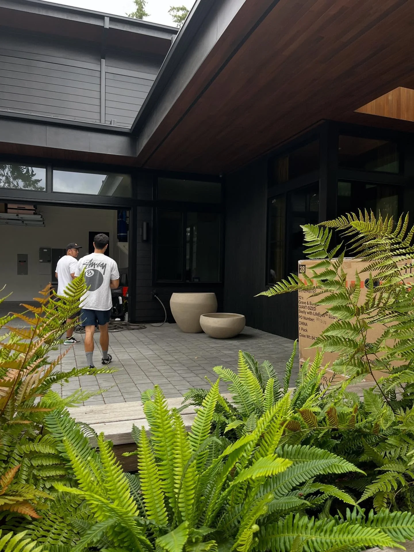 Plants and pots today. These ferns are ready to get dirty.