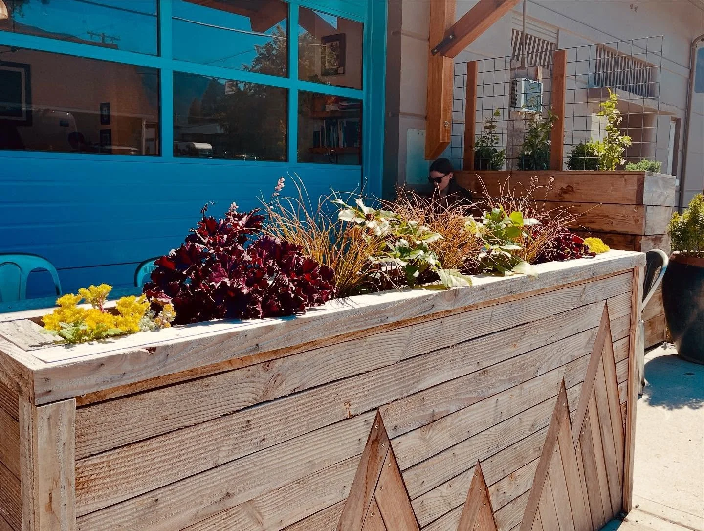 The plants are glowing! ✨🌿✨ Stop by and visit our friends at @aretepnw Arete&mdash;and don&rsquo;t forget to grab a coffee ☕️ while you&rsquo;re there. Ski 🎿 season is just around the corner!